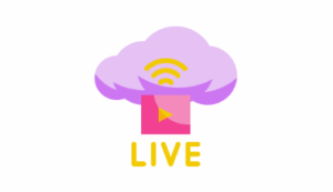 Logo Perusahaan PT. Dia Mulia Sejahtera - Lowongan Kerja Talent Live Tiktok