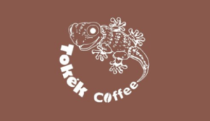 Logo Perusahaan Tokek Coffee - Lowongan Kerja Barista